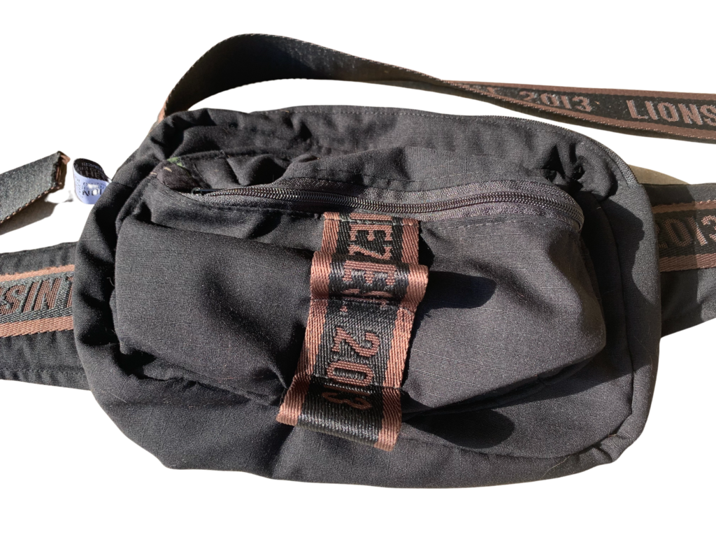 waist-bag-3-0-black-lionsinthezoo